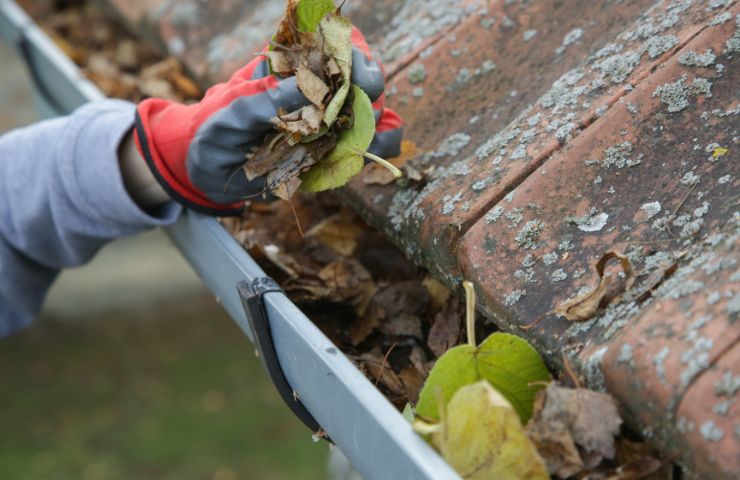 Gutter Cleaning Near Me — Fast Response in Arvada, CO