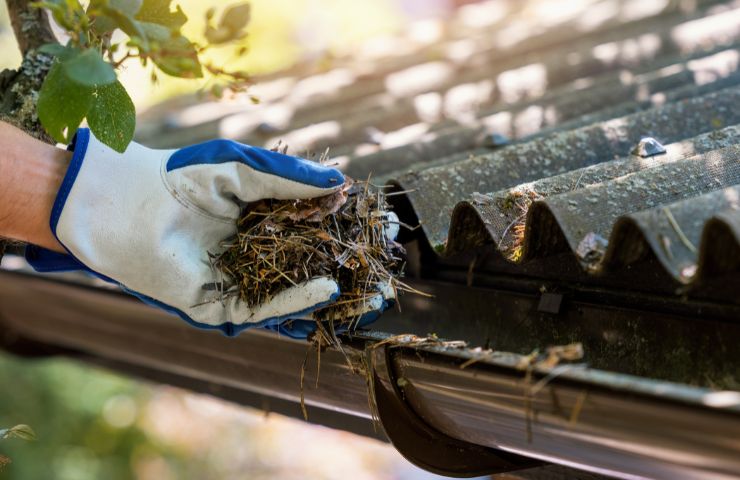 Our Gutter Cleaning Services in Colorado Springs